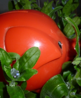 spenden7_Spenden.html